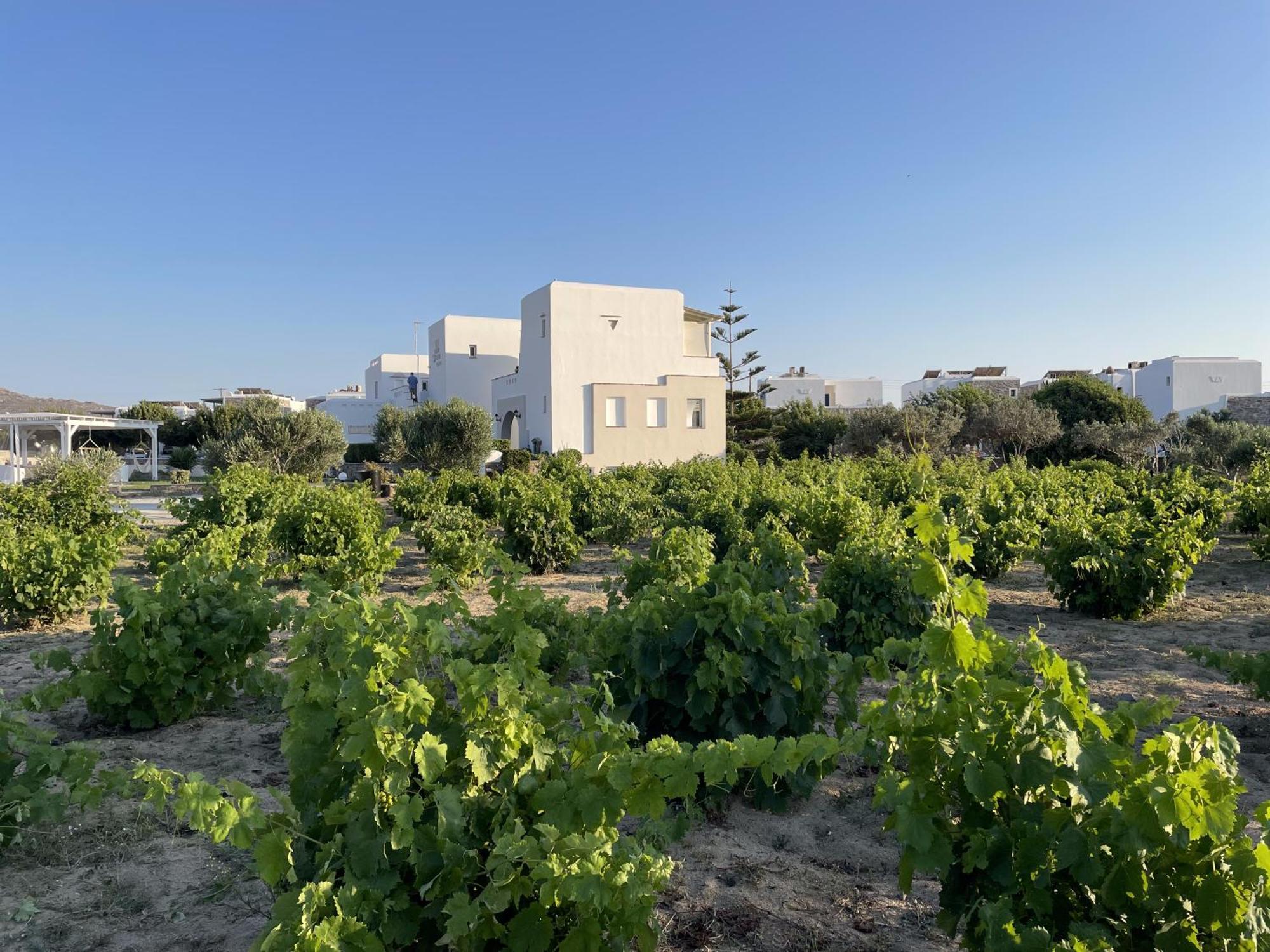 Apartment Mare Monte Naxos