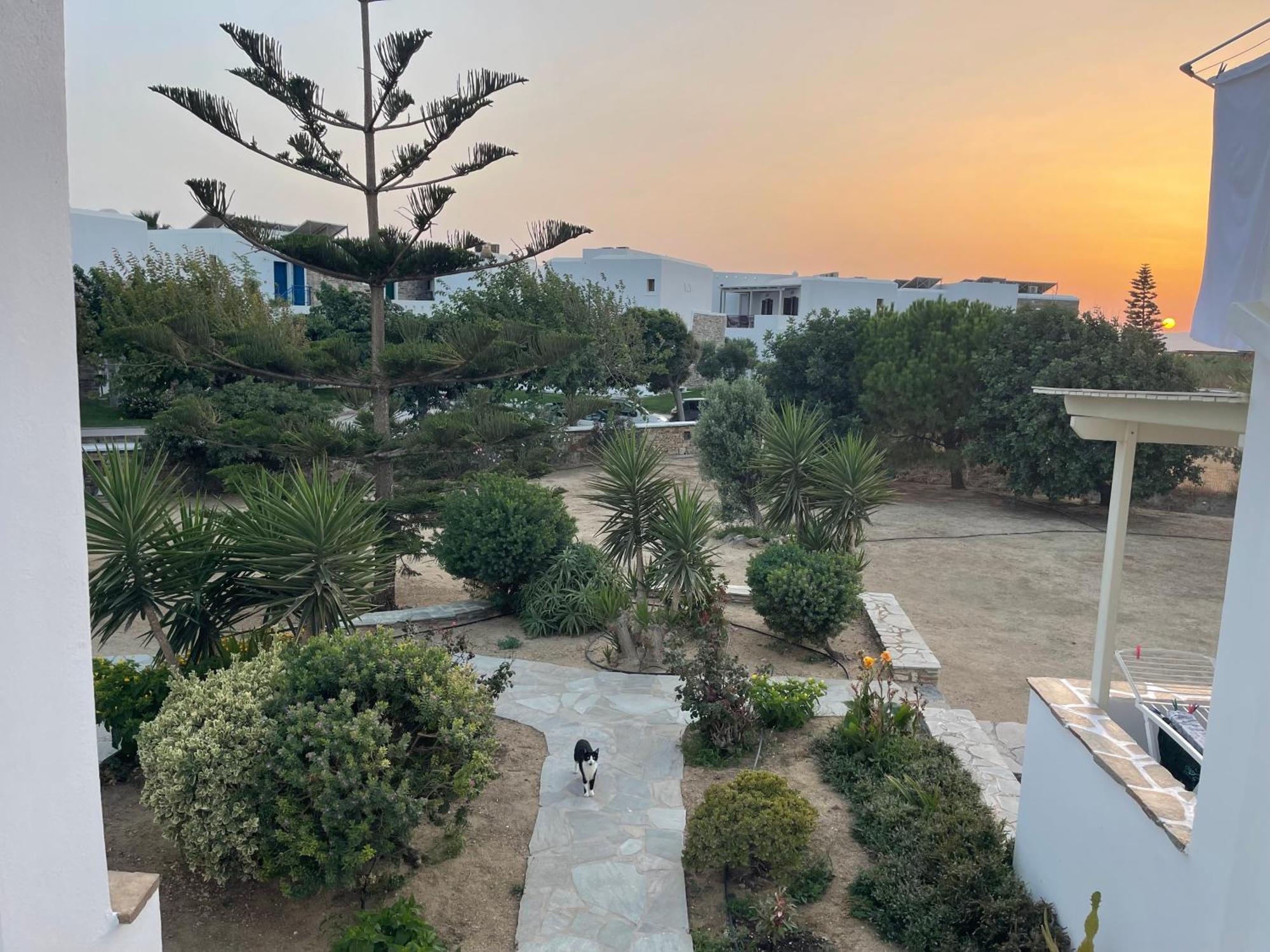 Mare Monte Naxos Plaka (Naxos)