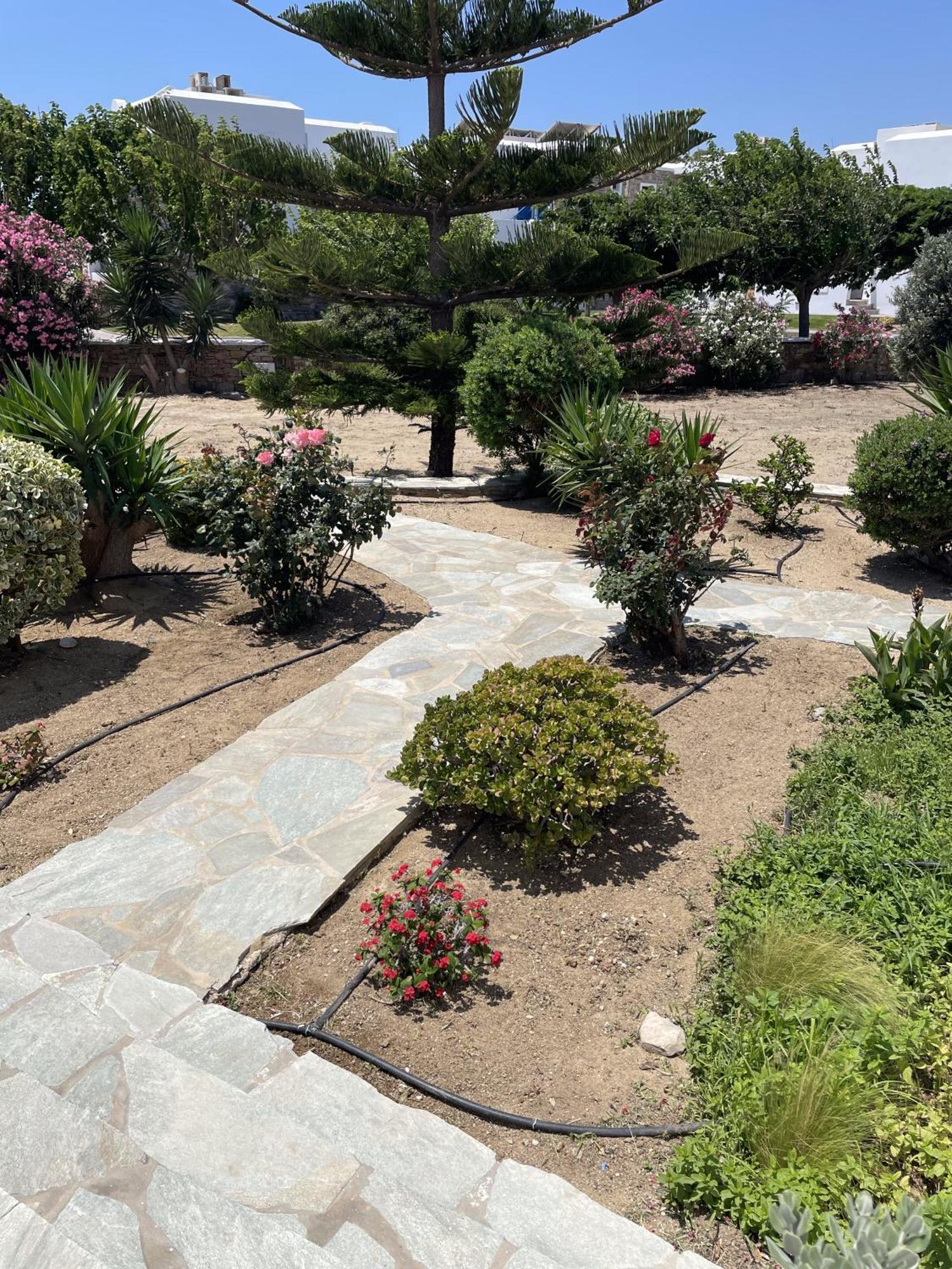 Mare Monte Naxos Apartment
